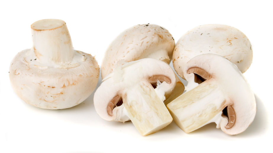 champignons.jpg