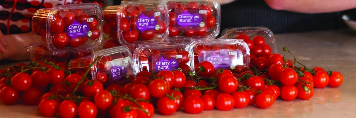 Cherry Burst tomatoes for Maddie's Month