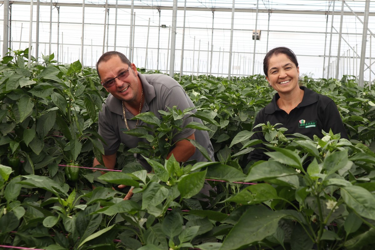 Andrew and Zurri Braham of Braham Produce in a greenhouse
