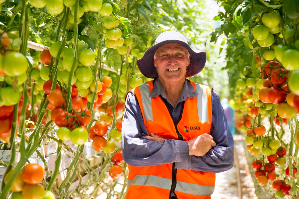 Ray Nutt is a tomato grower with Costa Tomatoes