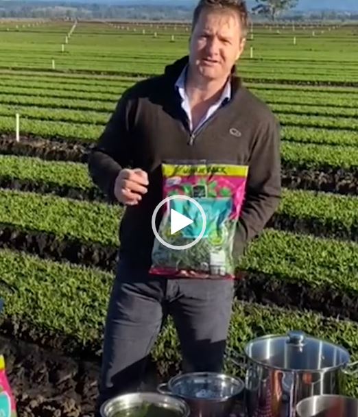 Jeremy Haw of Hussey and Co show how easy it is to prepare spinach soup