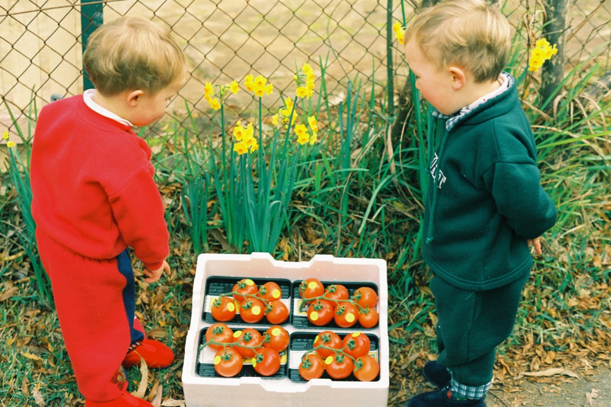 Inspecting the fresh harvest ready for market