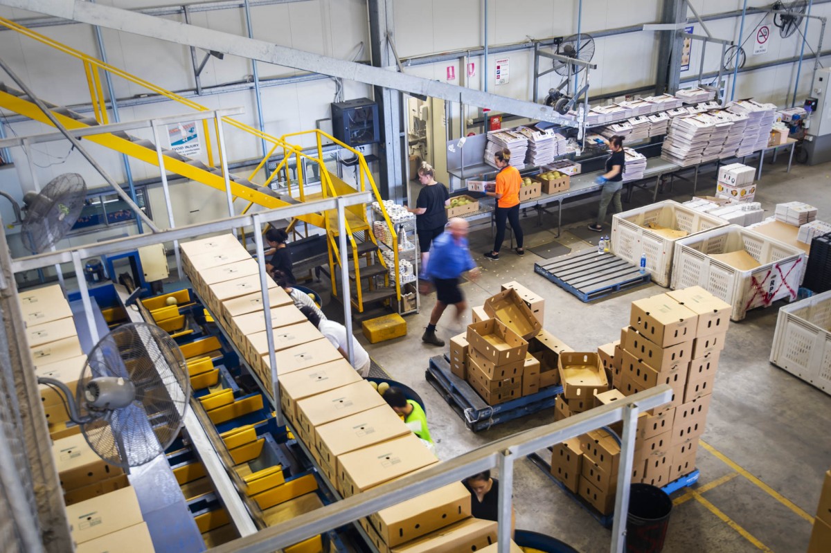 Packing shed at Rocky Ponds Produce