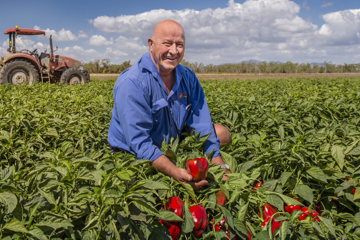 Des Chapman of Rocky Ponds Produce