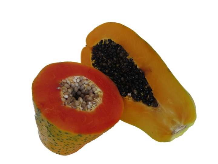 Papaya