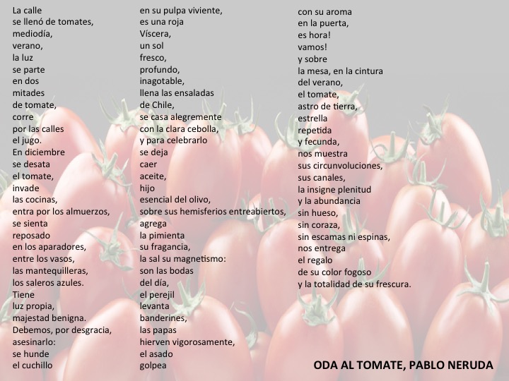 Oda al tomate