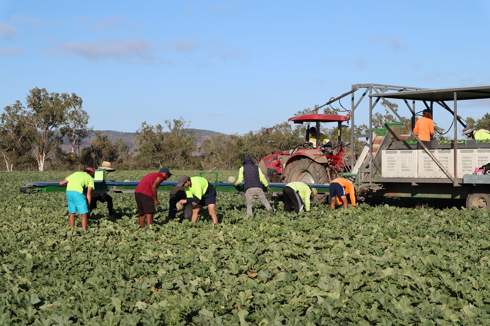 Evan Chapman at Rocky Ponds Produce