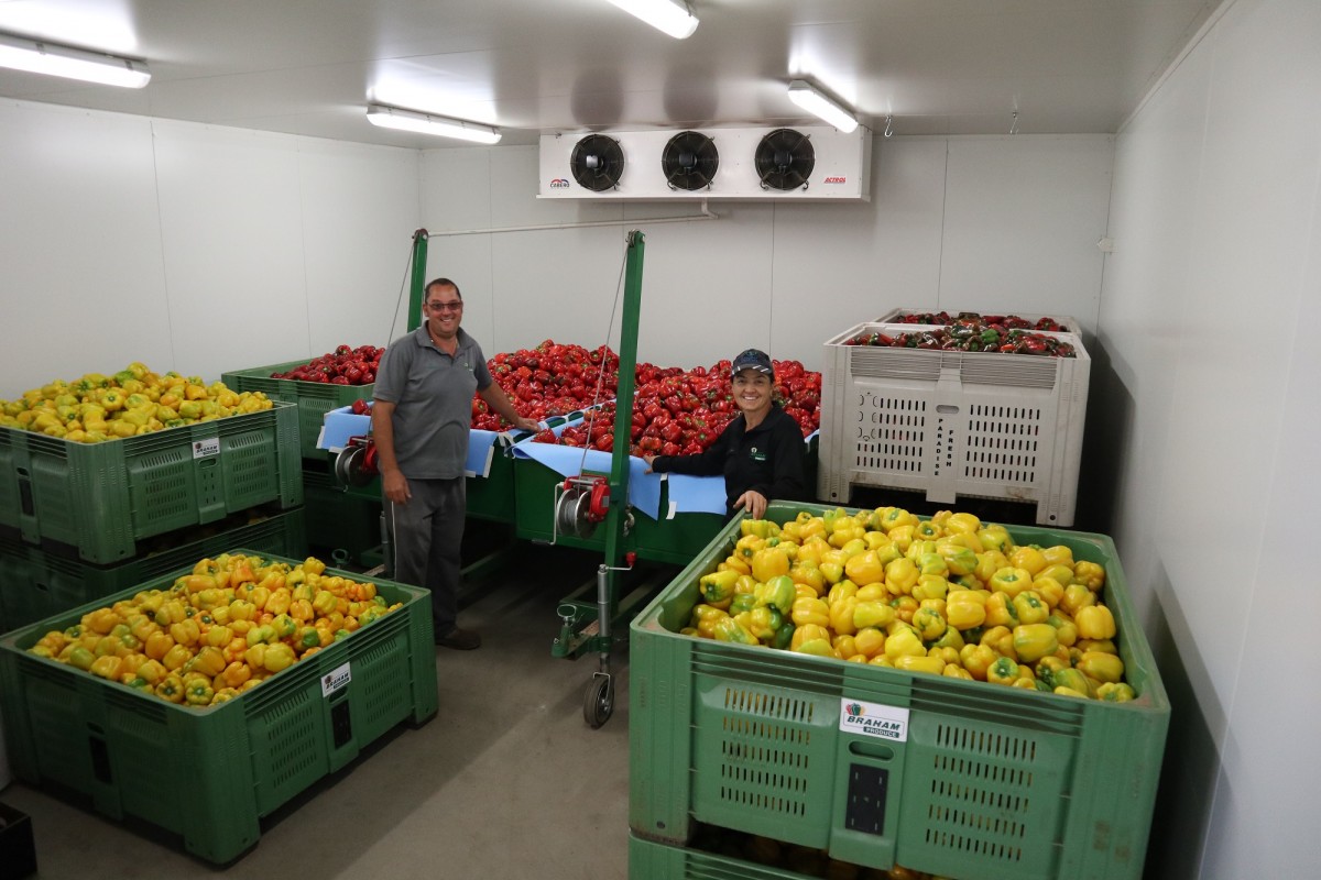 Andrew and Zurri Braham of Braham Produce with freshly picked capsicums