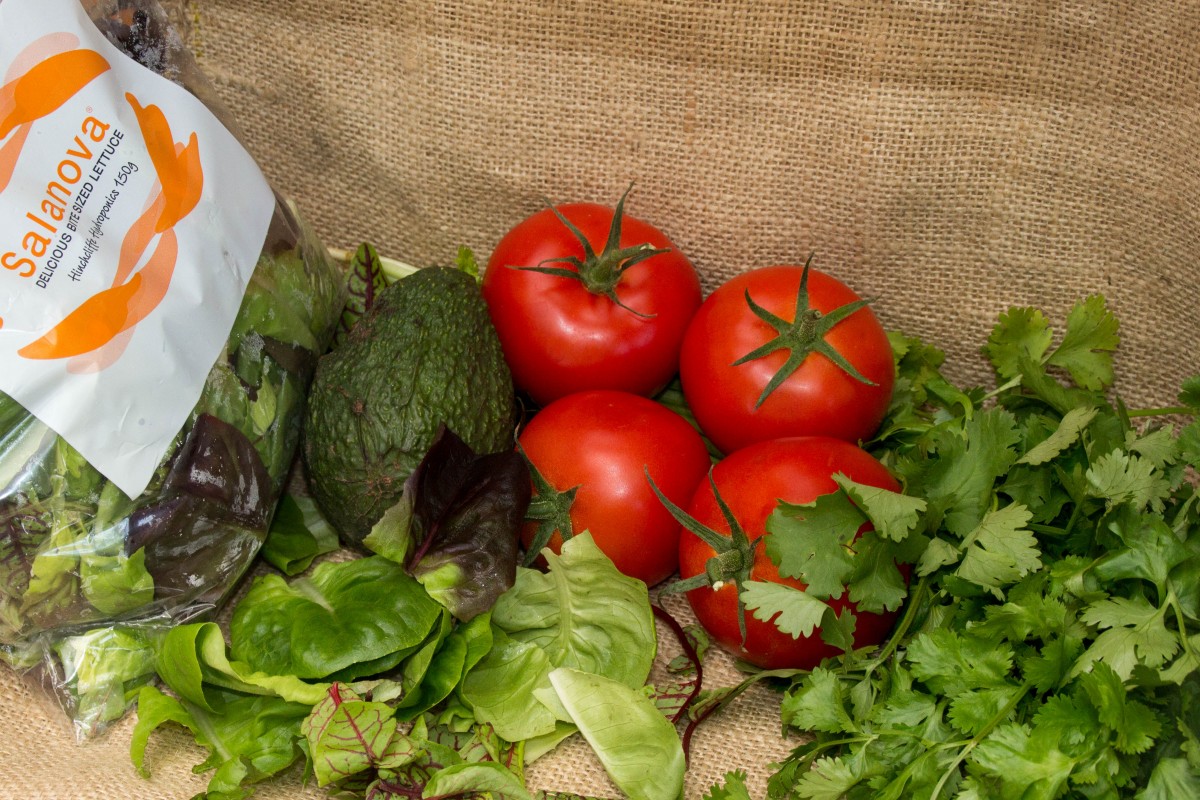 salanova butter lettuce salad