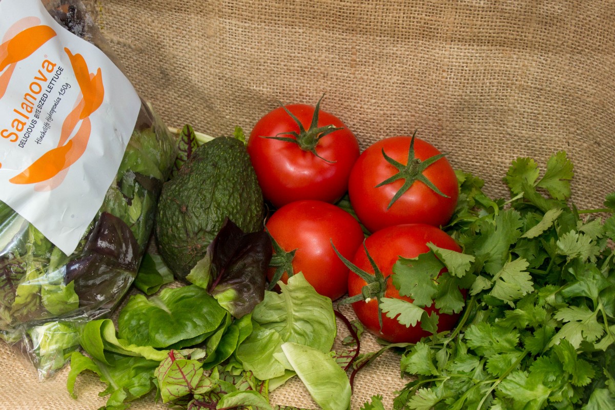 salanova butter lettuce salad