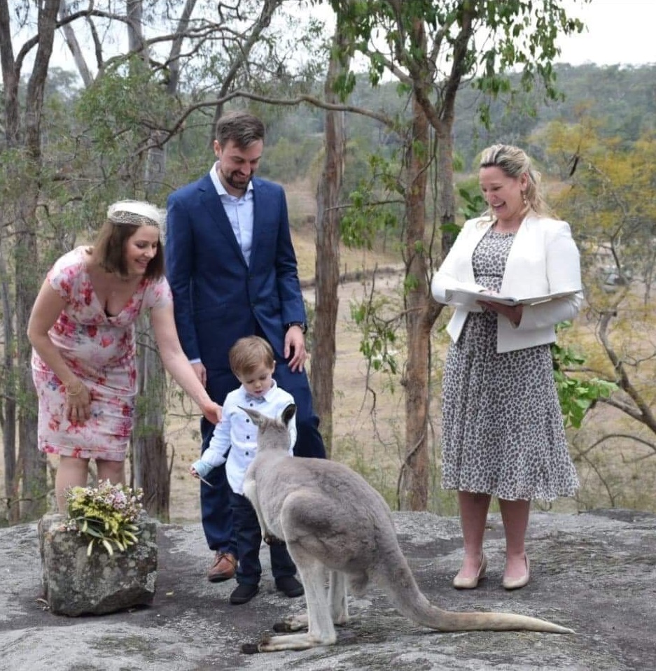 Kangaroo joins the wedding celebrations