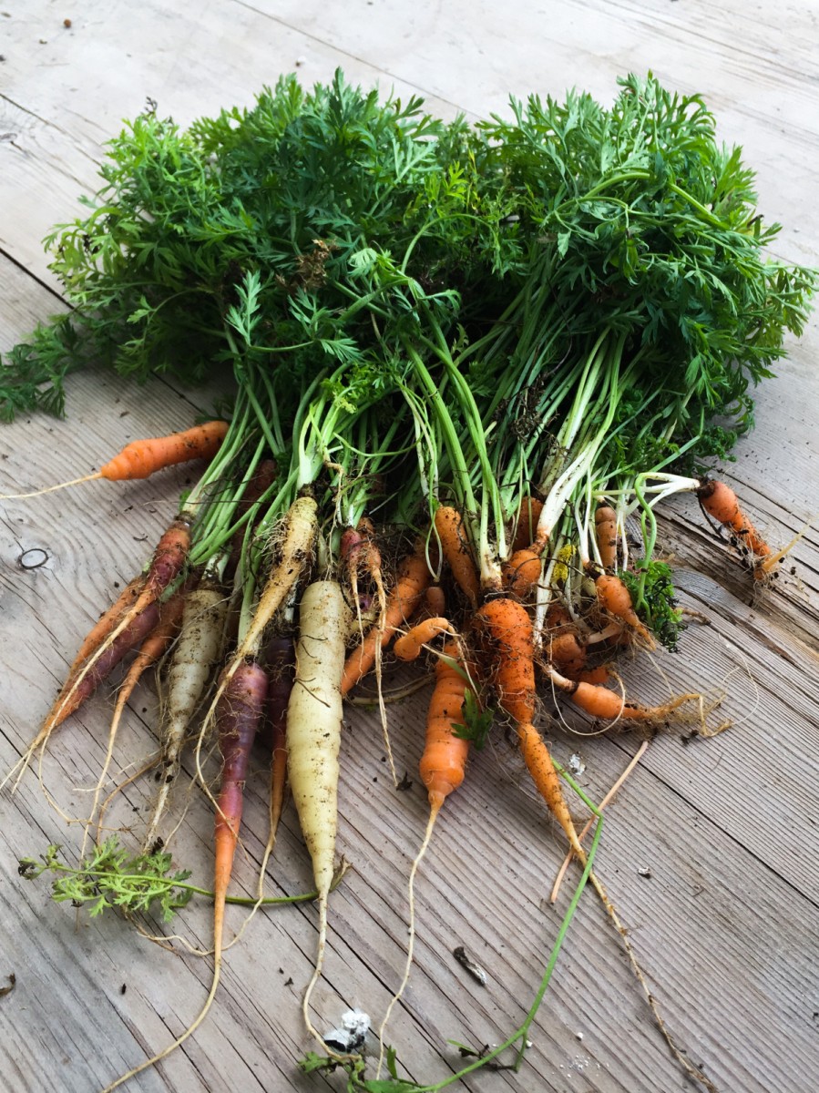 La Magia de las verduras