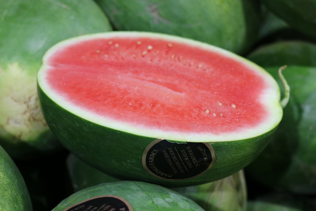Organically grown watermelon