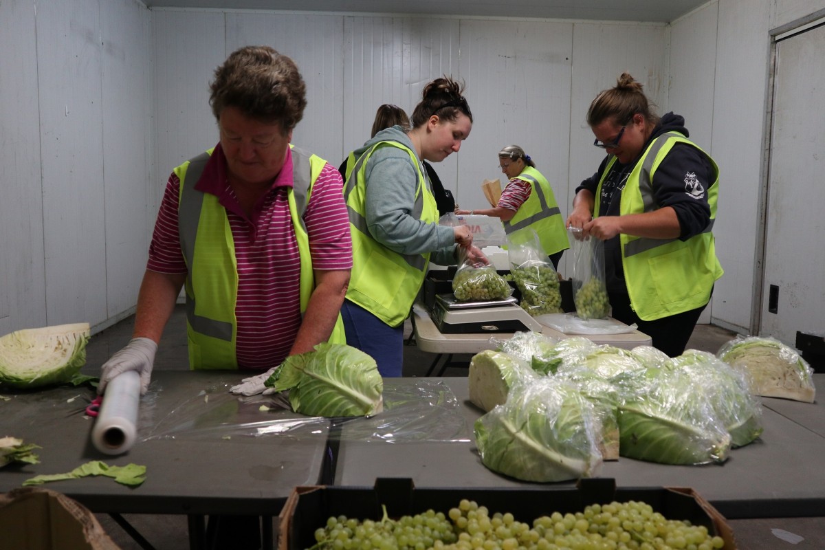 Volunteers pack vegetable boxes at ourfarm2U