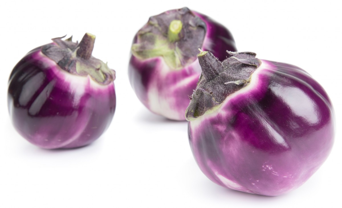 Honger materiaal baan Pallada Italian round aubergine | Love my Salad