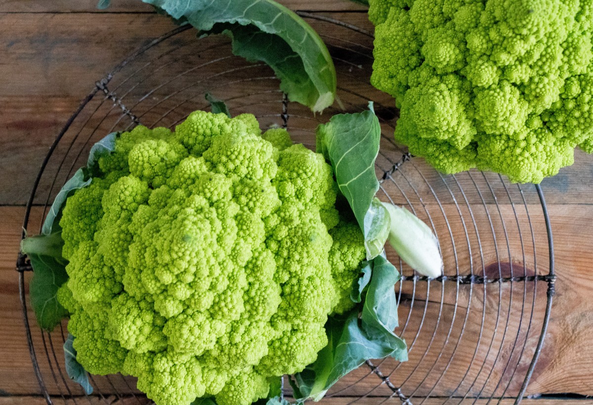 Romanesco