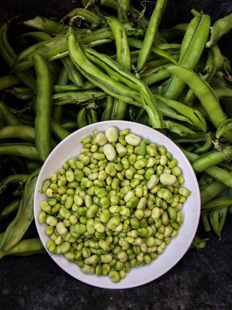 Verduras del mundo y sus recetas