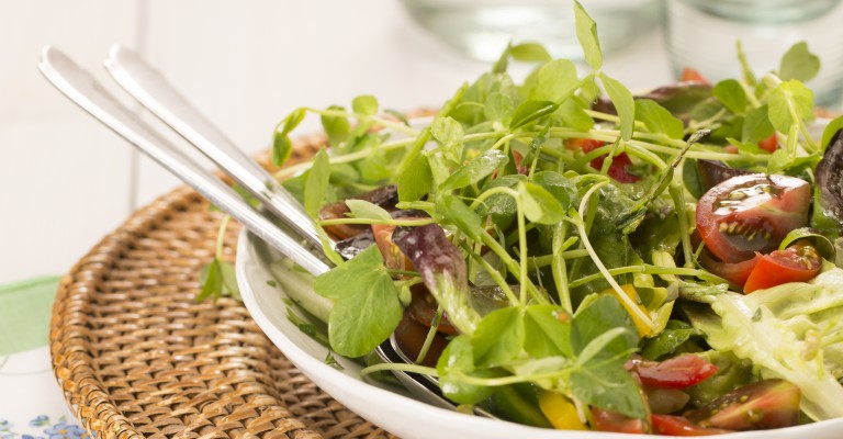 Espinaca, lechuga, tomate cherry, pepino ¡ensalada holandesa! | Love my  Salad