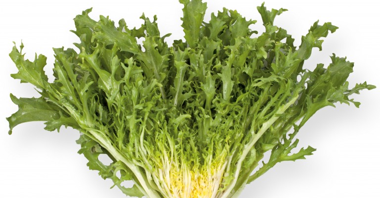 Frisee Lettuce Love My Salad Frisee Lettuce Love My Salad