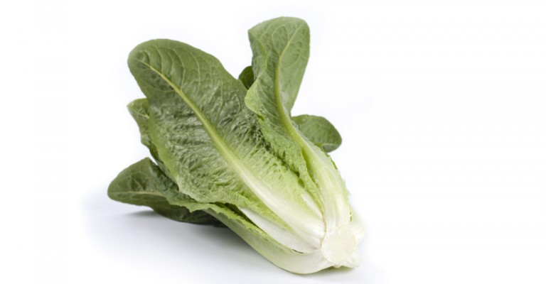 Romaine Or Cos Lettuce Love My Salad
