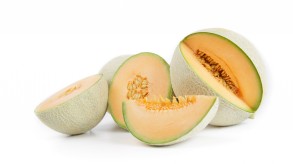 Cantaloupe-Melone