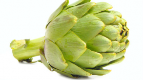 Artichoke