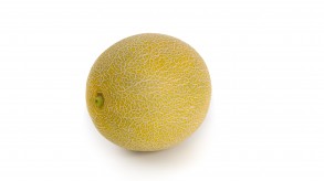 Melón Galia