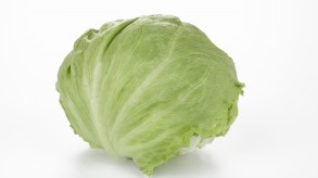 Iceberg lettuce