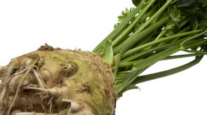 Celeriac