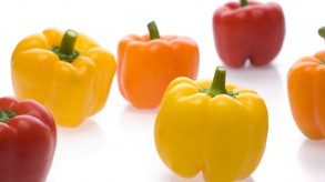 Bell pepper (capsicum or sweet pepper)