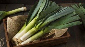 Leek