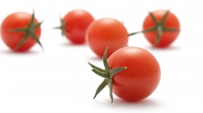 Snack tomato