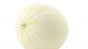 Honey Dew Melon