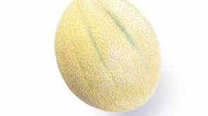 Melón Ogen