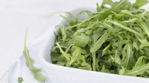 Rucola