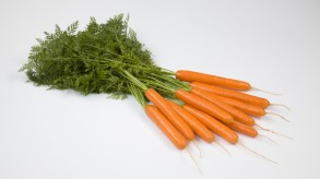 Zanahoria en manojo