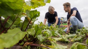De Bietenclub gaat Nederland veroveren met biologische bietjes