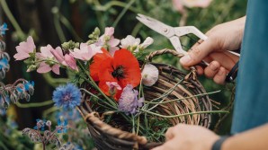 Eetbare bloemen, een overzicht voor in je (moes)tuin