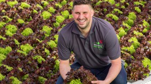 Gemüsebau Hofmann setzt auf bunte Salatrio-Salate mit langer Haltbarkeit