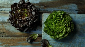 Lettuce recipes