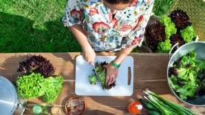 Salads with Salanova lettuce