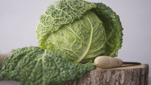 Todo al verde, de nuevo