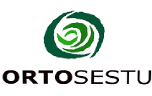 OrtoSestu