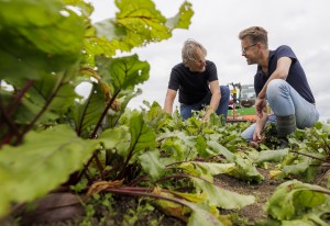 De Bietenclub gaat Nederland veroveren met biologische bietjes