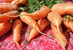 Propiedades de la zanahoria y su versatilidad en la cocina