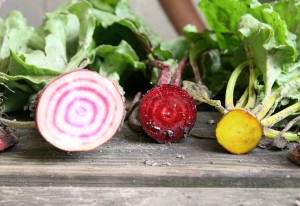 organic vegetables love my salad sustainable farming