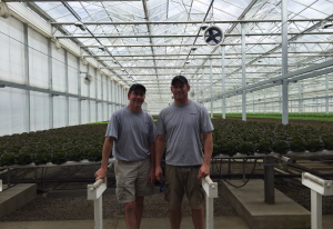hydroponic farming lettuce great lakes growers 