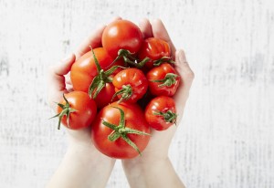 How to pick the best tomato, Love My Salad