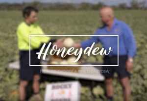 Melon farmers, Evan and Des Chapman, share tips for picking a ripe honeydew melon.
