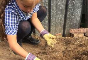 Child in the garden gardening